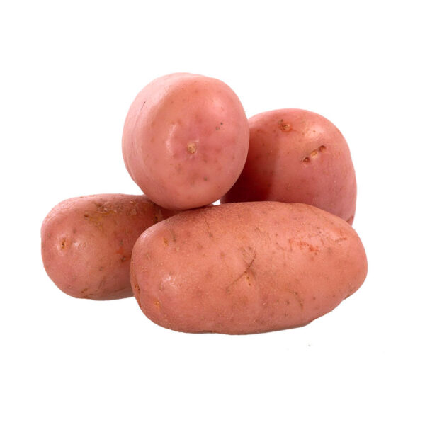 Batata Asterix - Imagem 1