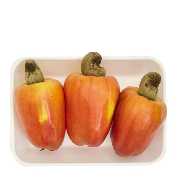 Caju - Imagem 1