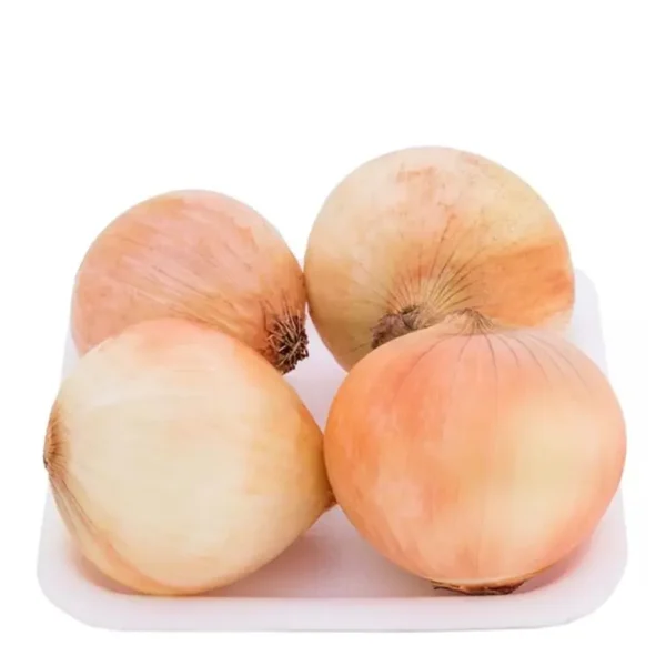 Cebola - Imagem 1