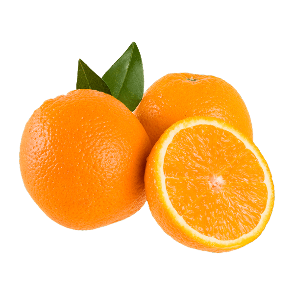 Laranja Bahia - Imagem 1