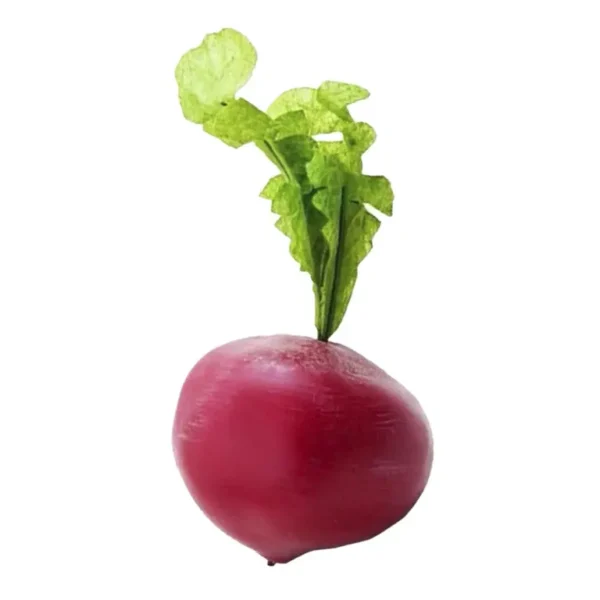 Rabanete - Imagem 1