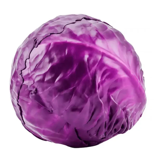 Repolho Roxo - Imagem 1