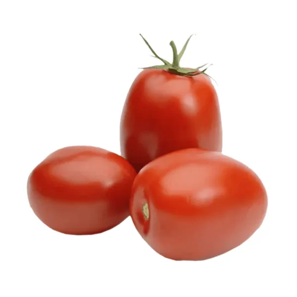 Tomate Italiano - Imagem 1
